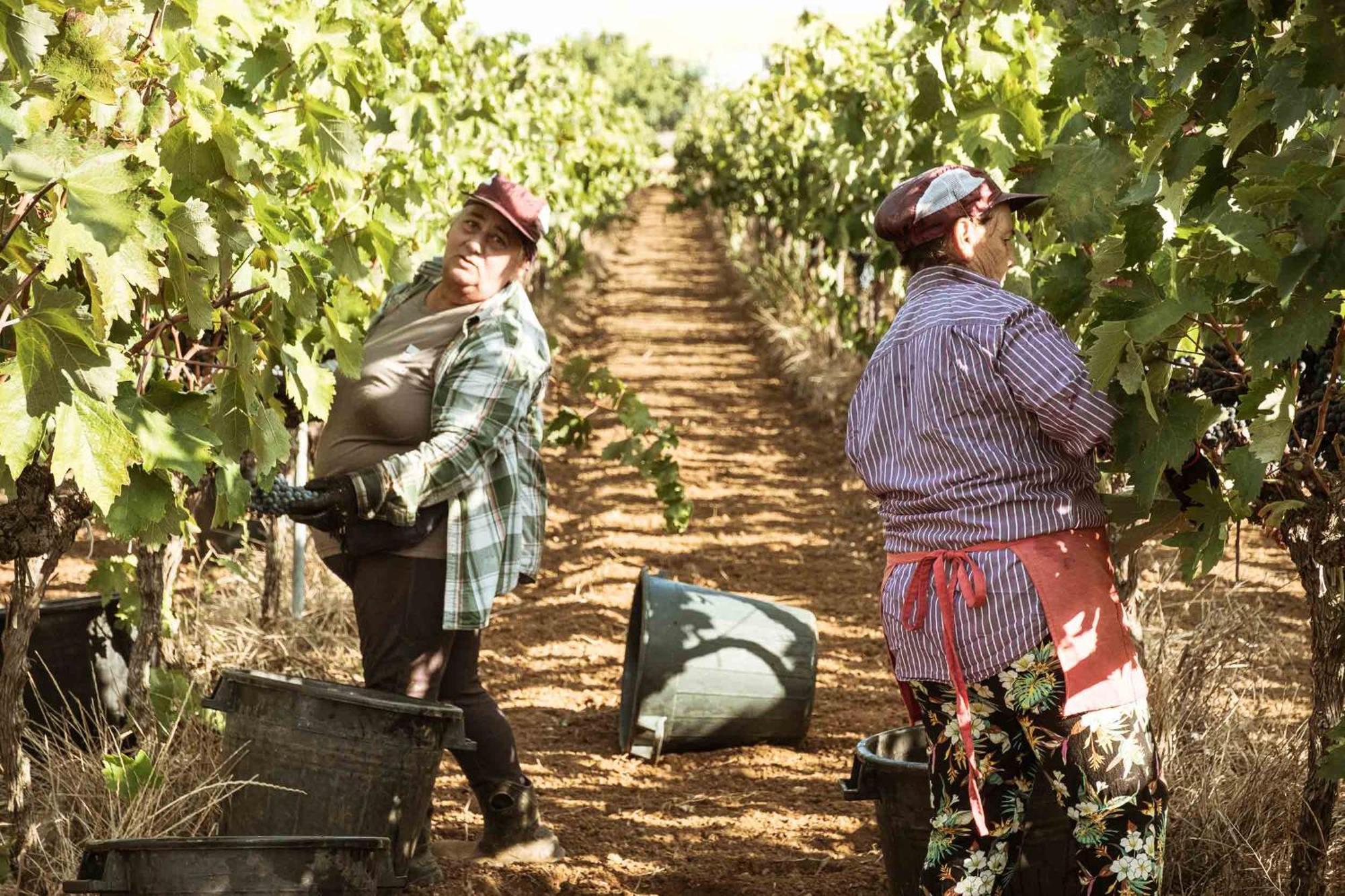 Tenuta Doxi Галиполи Екстериор снимка